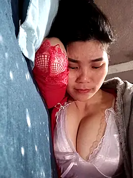 Bear bear0 online show from March 2026 02:15:01 AM