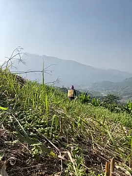 Irin jo online show from November 2025 06:46:01 AM