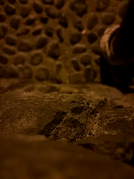 Rico1 1 online show from November 2025 11:38:01 PM