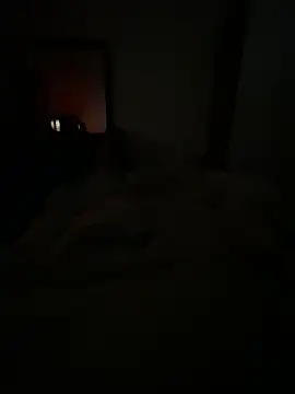 llllllllIIIll online show from February 2026 04:42:01 AM