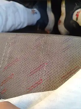 Snapshot of 666Daemon666 chatting on January 2026 11:19:01 PM 666Daemon666 online show from January 2026 11:19:01 PM