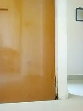 tamilammu1431 online show from February 2026 06:17:02 AM