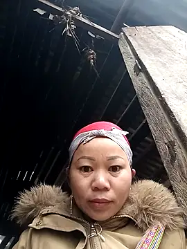 -Heli- online show from February 2026 01:26:01 AM