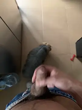 findomhot online show from February 2026 03:51:01 PM