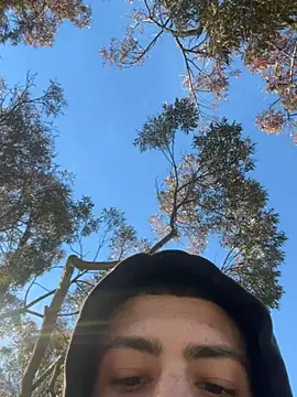 slimshadypt2 online show from November 2025 04:39:01 PM