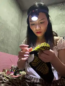 Snapshot of Yunzang chatting on February 2026 01:01:02 PM Yunzang online show from February 2026 01:01:02 PM