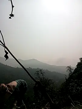 Phoena-a online show from April 2026 02:20:02 AM