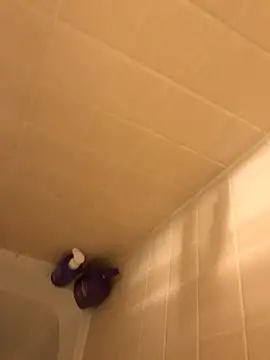 meatzzzzzz online show from February 2026 03:05:02 PM