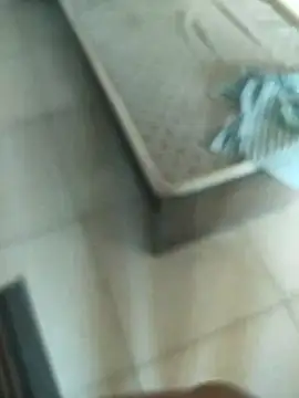 Telugus online show from November 2025 07:08:02 AM