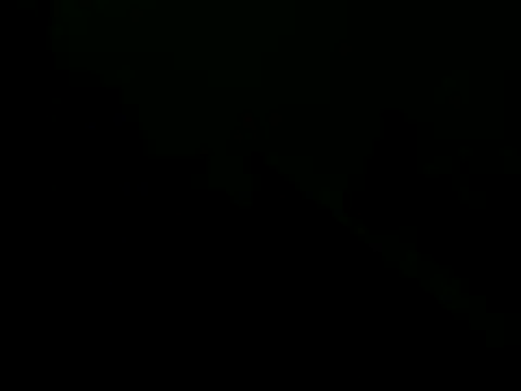 giovanift111 online show from October 2025 11:17:02 PM