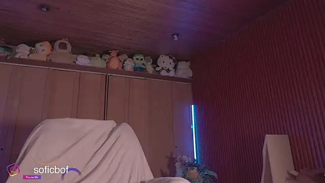 Snapshot of sofi_sc chatting on February 2026 11:45:01 PM sofi sc online show from February 2026 11:45:01 PM