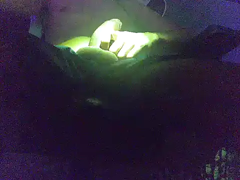 Snapshot of analice32456 chatting on March 2026 06:52:01 AM analice32456 online show from March 2026 06:52:01 AM