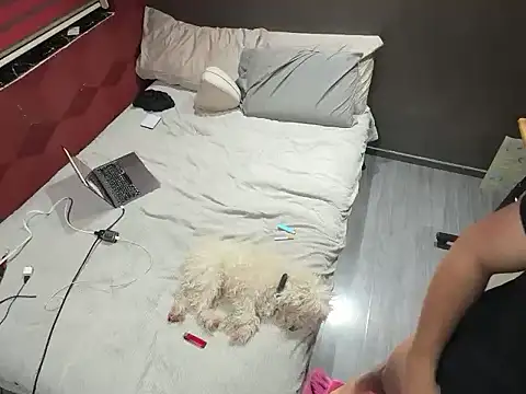 Bbydaddy 0 online show from January 2026 09:57:02 AM