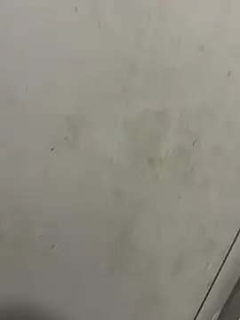 Isamperry69 online show from October 2025 04:02:02 AM