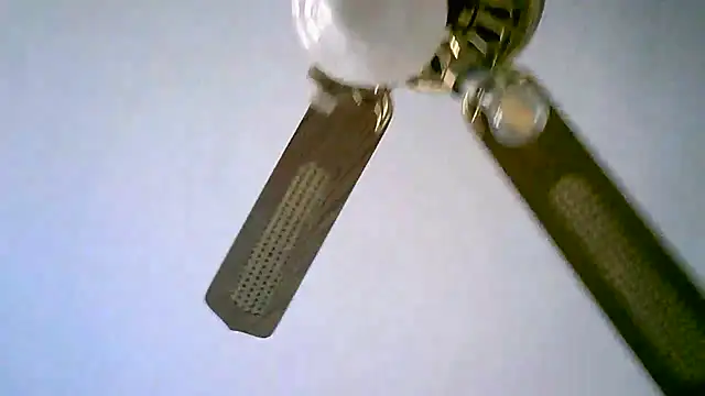 Sylviastar46 online show from November 2025 02:50:01 PM