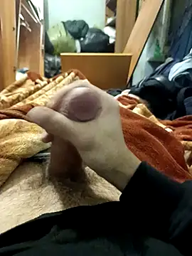 KaTorino online show from February 2026 11:21:02 PM