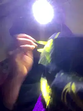 Snapshot of bi-bo123 chatting on January 2026 02:22:01 PM bi-bo123 online show from January 2026 02:22:01 PM