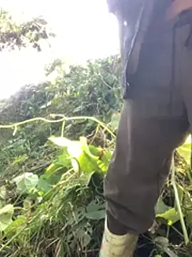 Snapshot of bi-bo123 chatting on January 2026 03:12:02 AM bi-bo123 online show from January 2026 03:12:02 AM