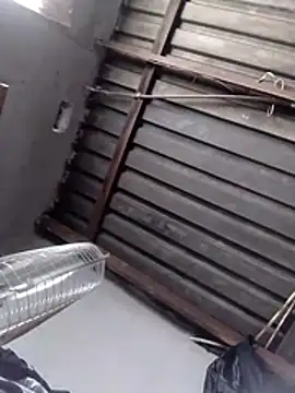 Teddypuer online show from November 2025 12:40:02 PM