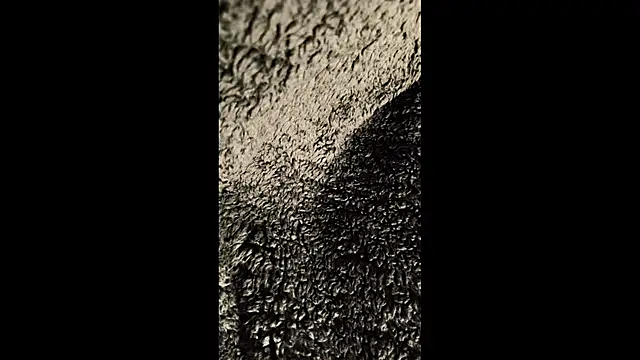 Snapshot of thewarmbear chatting on November 2025 03:02:01 PM thewarmbear online show from November 2025 03:02:01 PM