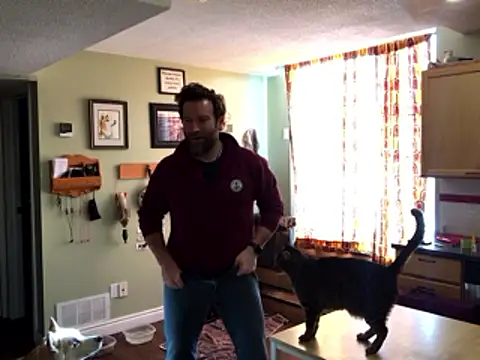 RockHammercock online show from January 2026 05:16:01 PM