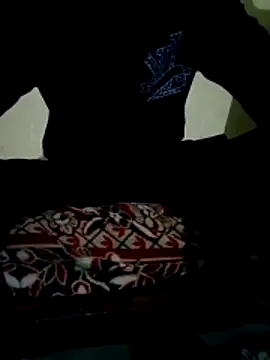 akram306 online show from March 2026 08:08:02 PM