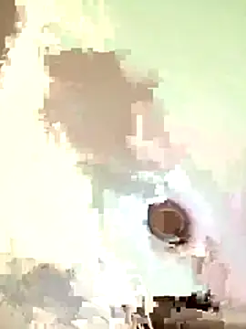 Snapshot of Bricksdakid050 chatting on November 2025 11:04:02 PM Bricksdakid050 online show from November 2025 11:04:02 PM