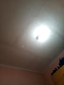 ey66gfdwwt online show from November 2025 09:32:01 PM