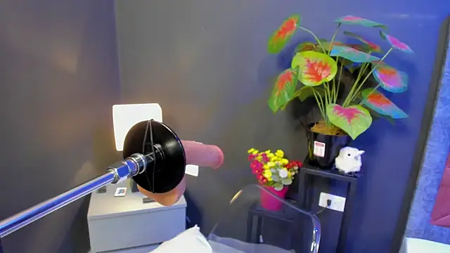 Amy whittee online show from April 2026 03:44:02 AM