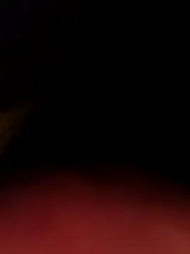 ALspacer online show from March 2026 11:47:01 AM