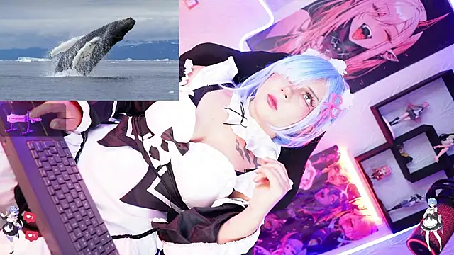 Noha-- online show from November 2025 12:55:01 PM