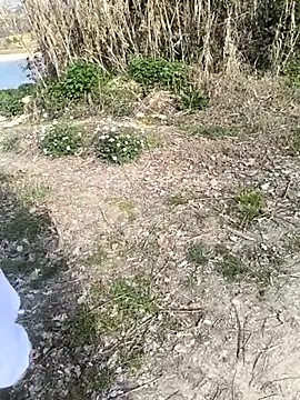 Snapshot of marchigiana chatting on February 2026 09:19:02 AM marchigiana online show from February 2026 09:19:02 AM