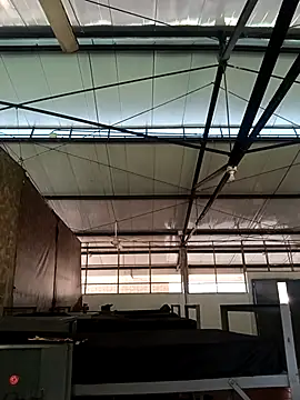 MonasticCanine online show from November 2025 11:33:02 AM