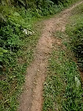 Cloud-wh online show from February 2026 03:37:02 AM