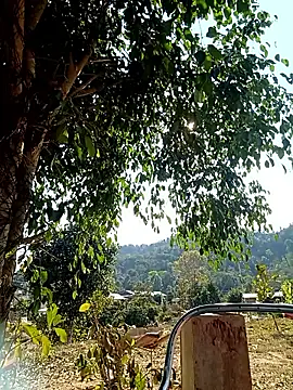 -Chua-90 online show from February 2026 08:05:02 AM