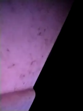 m-mbae online show from February 2026 12:53:02 AM