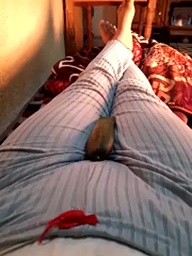 Tota sexi online show from December 2025 11:30:02 AM