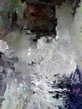 Snapshot of Junior_47 chatting on November 2025 08:31:01 AM Junior 47 online show from November 2025 08:31:01 AM