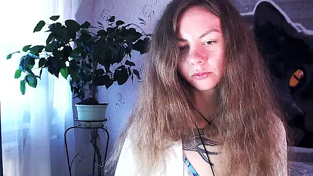 Personal Bulldozer online show from December 2025 08:33:01 AM