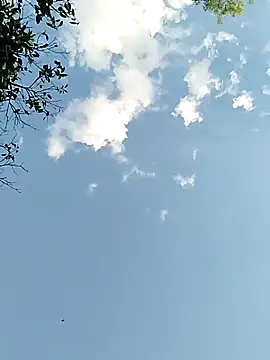 Snapshot of joselo2217 chatting on November 2025 09:15:01 PM joselo2217 online show from November 2025 09:15:01 PM