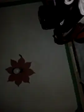 honeypot224 online show from March 2026 03:56:01 AM