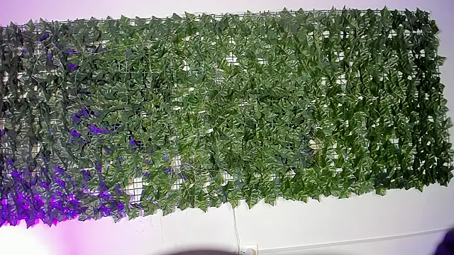 LiilithStonne online show from March 2026 12:53:02 PM