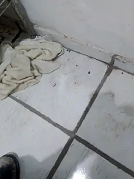 Paugostoso270515 online show from April 2026 03:17:02 PM