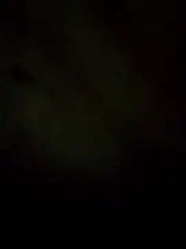 Rogerlima099 online show from March 2026 07:25:02 AM