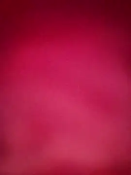 starnighcouple online show from December 2025 05:29:01 PM