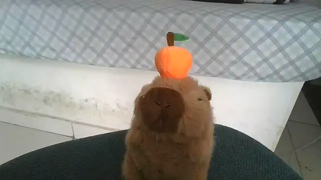 Satanatrix online show from February 2026 01:04:02 PM