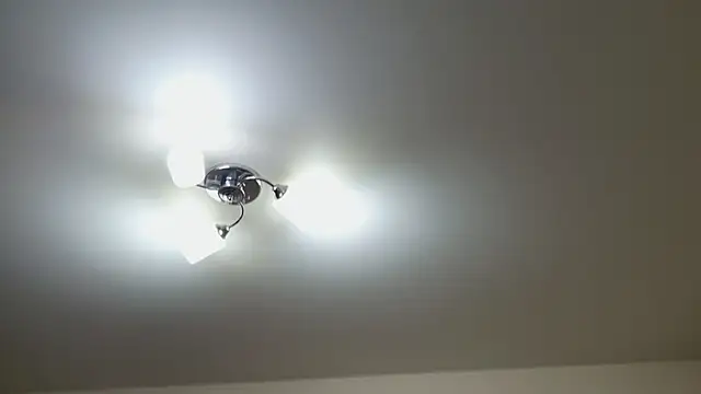 Foxy-lady online show from December 2025 07:00:01 PM