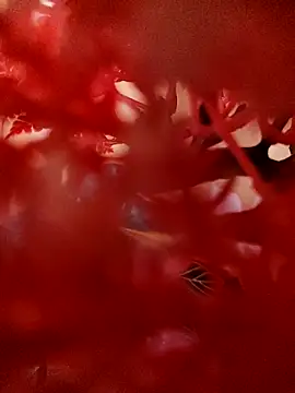 Jbsmaster online show from November 2025 02:06:01 PM