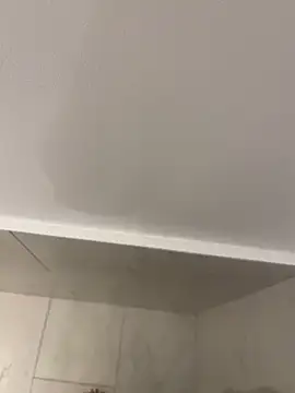 Snapshot of Maia0823 chatting on November 2025 04:44:01 AM Maia0823 online show from November 2025 04:44:01 AM