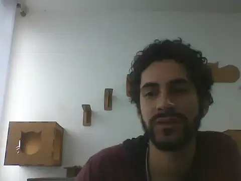 Temp7 online show from February 2026 12:38:01 PM